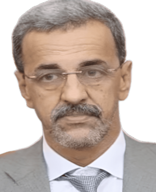 صورة معالي الأستاذ ادي ولد الزين