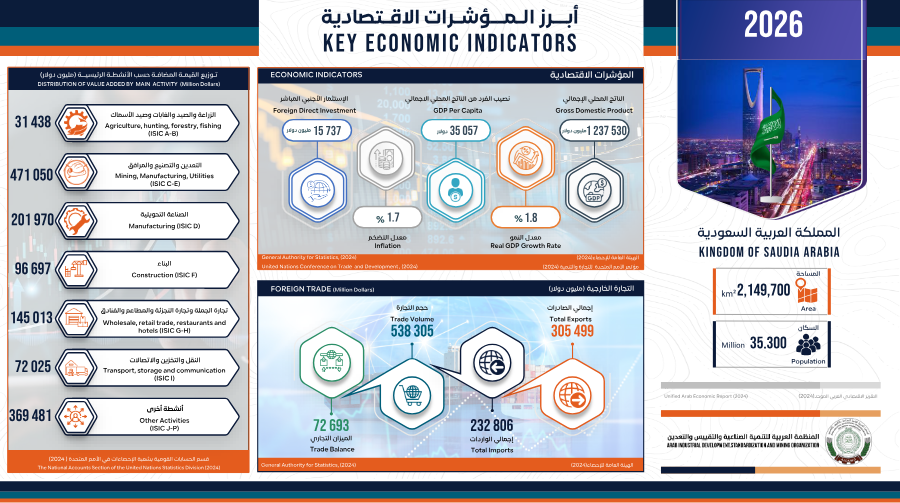 أنفوجرافيك المملكة العربية السعودية