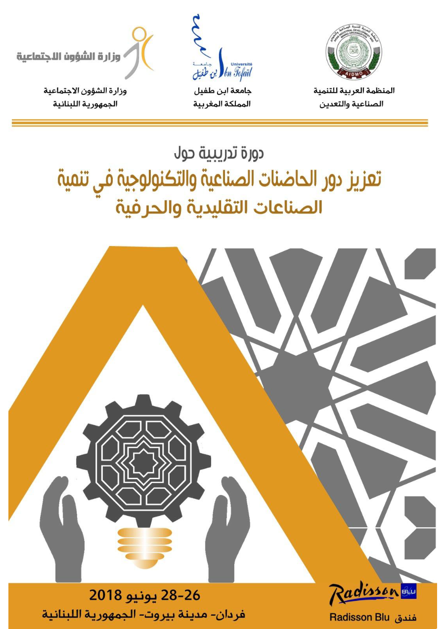 دورة تدريبية حول تعزيز دور الحاضنات الصناعية والتكنولوجية في تنمية الصناعات التقليدية